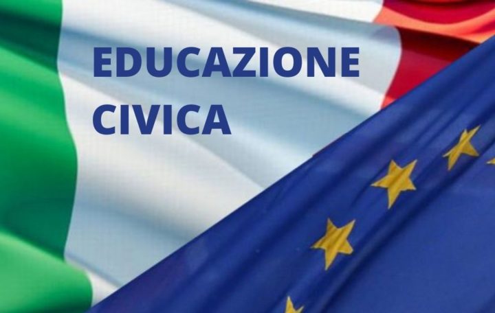 DAD Dibattito A Distanza -  Educazione civica Linee guida - Modelli organizzativi